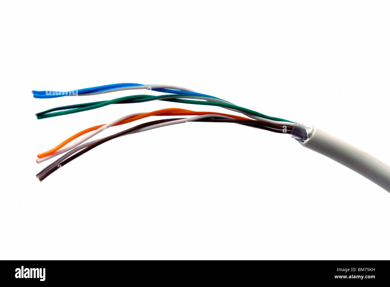 Telephone cable isolated on white background Stock Photo Alamy