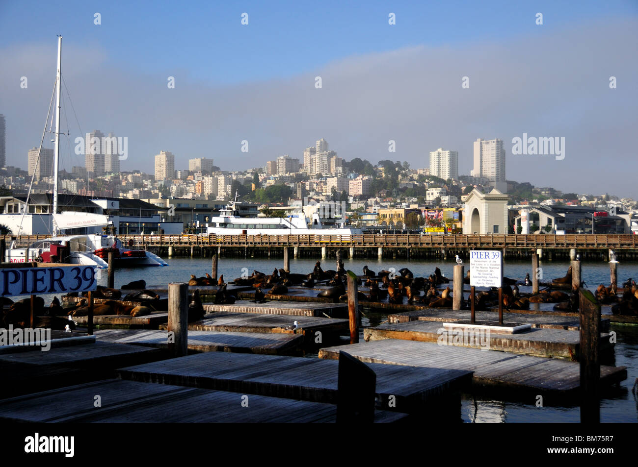 City scape at the Fisherman's Wharf, San Francisco, California, USA. Stock Photo
