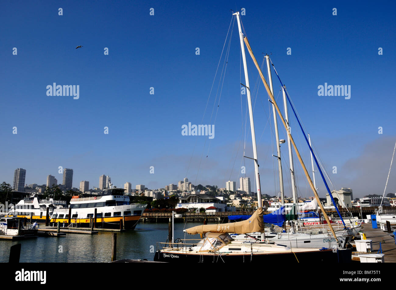 Sail boats at the Fisherman's Wharf, San Francisco, California, USA. Stock Photo