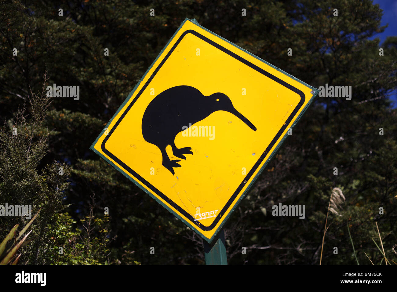 Road sign warning of kiwi birds on the hiway in New Zealand Stock Photo