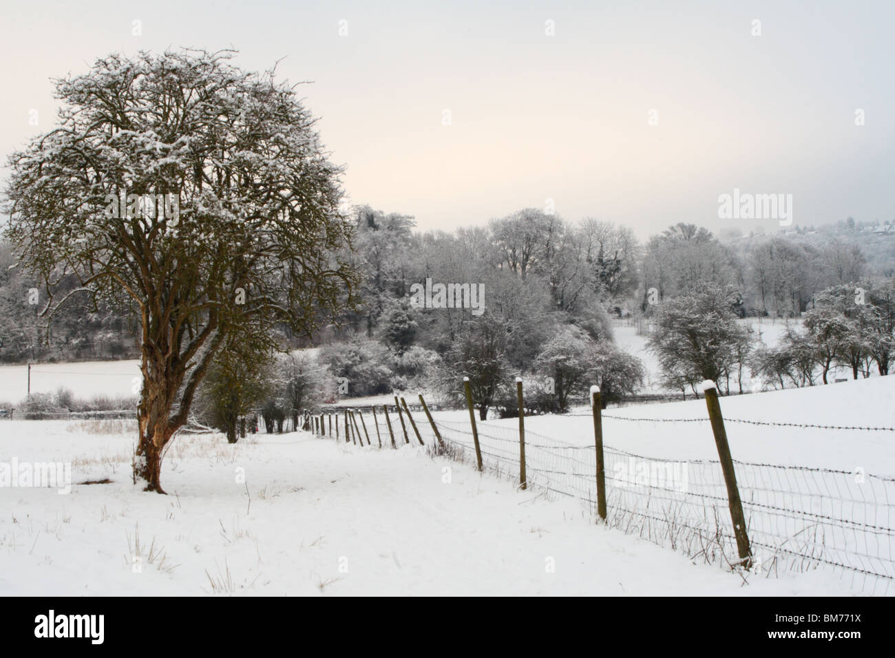 Winter snowfall in Tinker Woods, Downley, High Wycombe, Buckinghamshire, United Kingdom Stock Photo