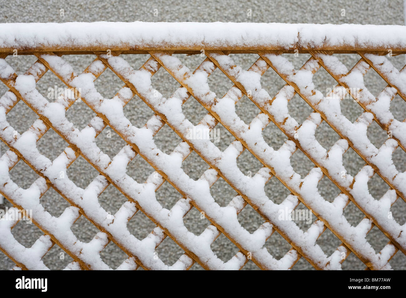A trellis fencing covered in snow with a pebbledash wall behind Stock Photo