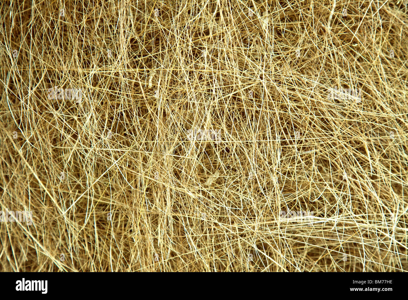 photo shot of hay background Stock Photo - Alamy
