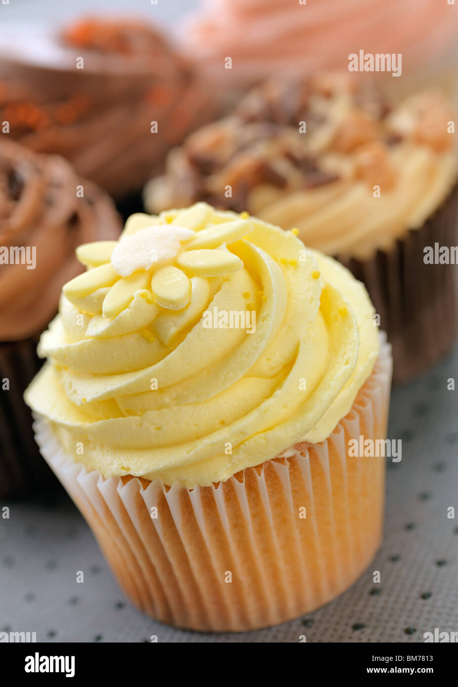 Cupcakes with a lemon cupcake at the front, shallow focus, focus on lemon buttercream. Stock Photo