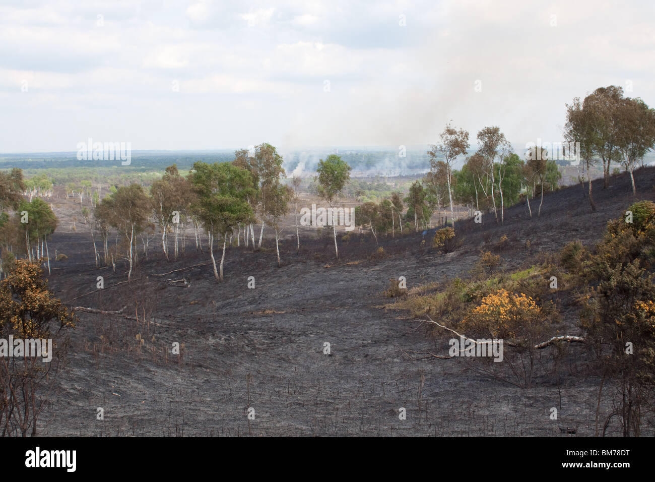 Heath Fire at the Ranges Chobham Stock Photo