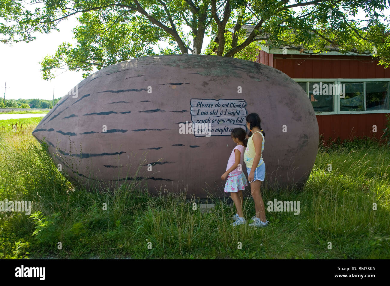 World's Largest Pecan near Brunswick, MO Stock Photo Alamy