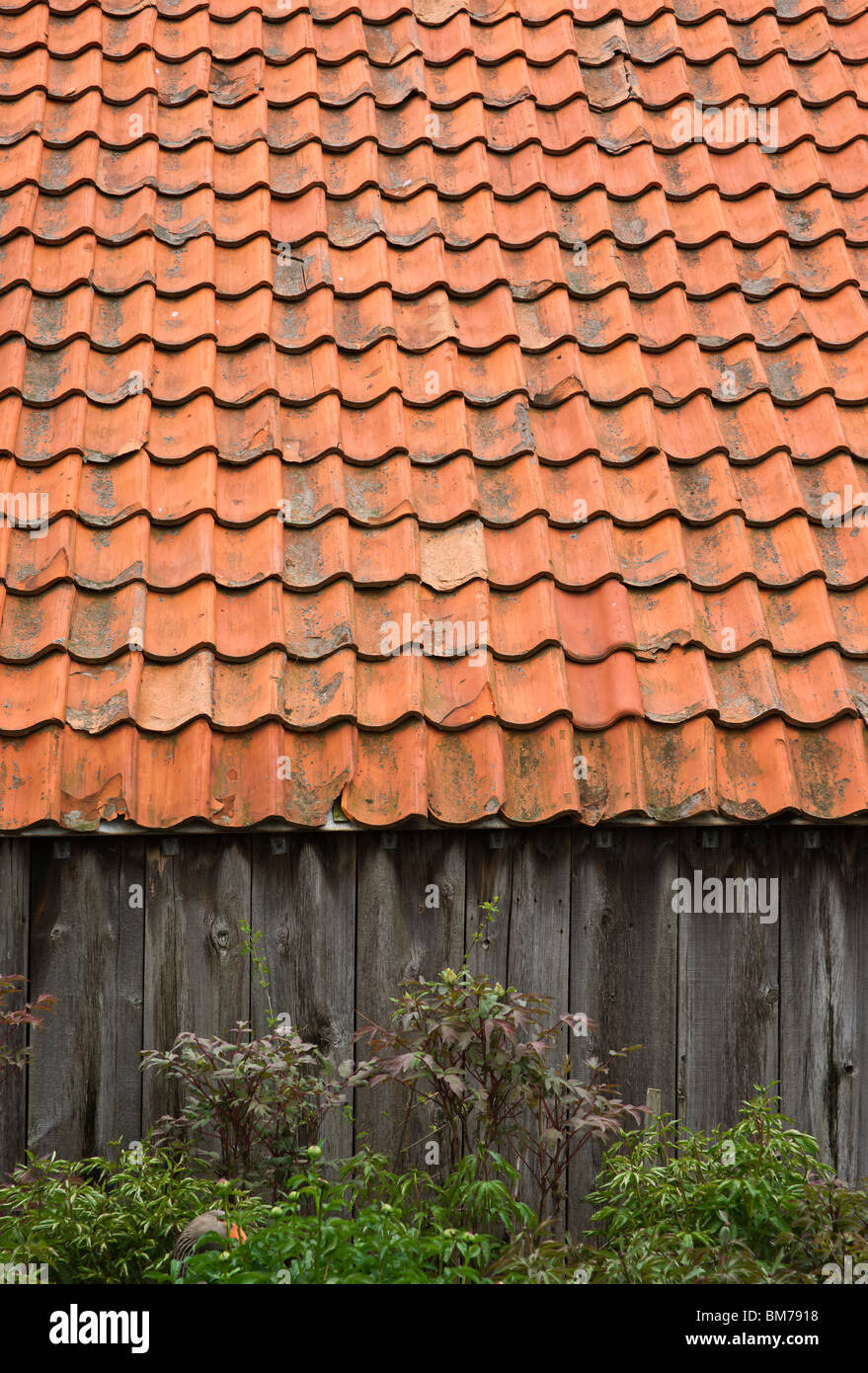 Authentic Barn With Red Tiles Roof In Holland Michigan No Not