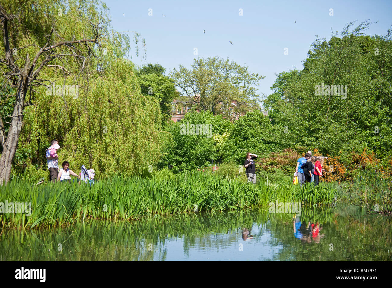 Families exploring the nature pond in Queen's Park in the Southside of Glasgow, Scotland. Stock Photo