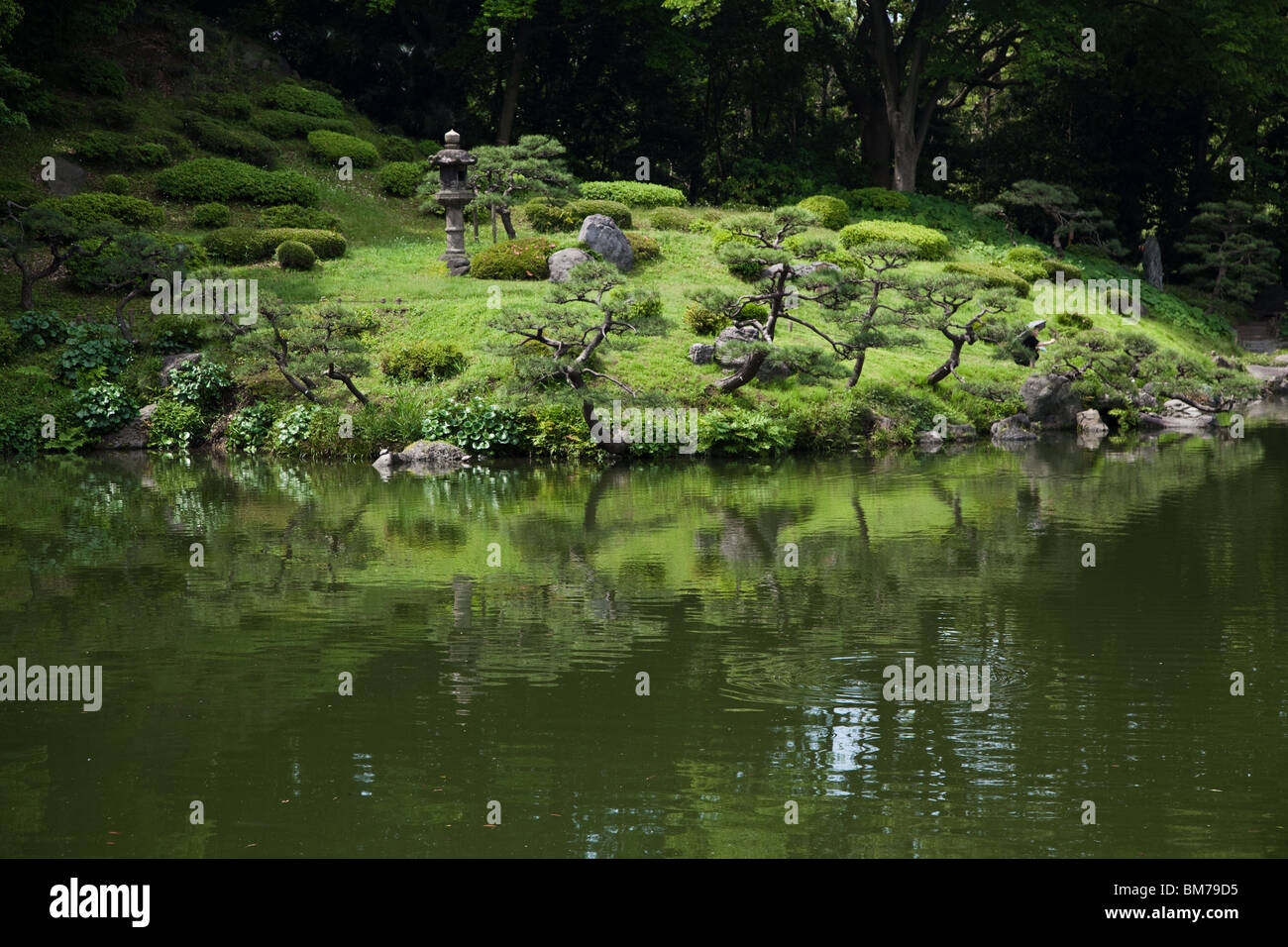 Kiyosumi Garden, Kiyosumi Taien Stock Photo - Alamy