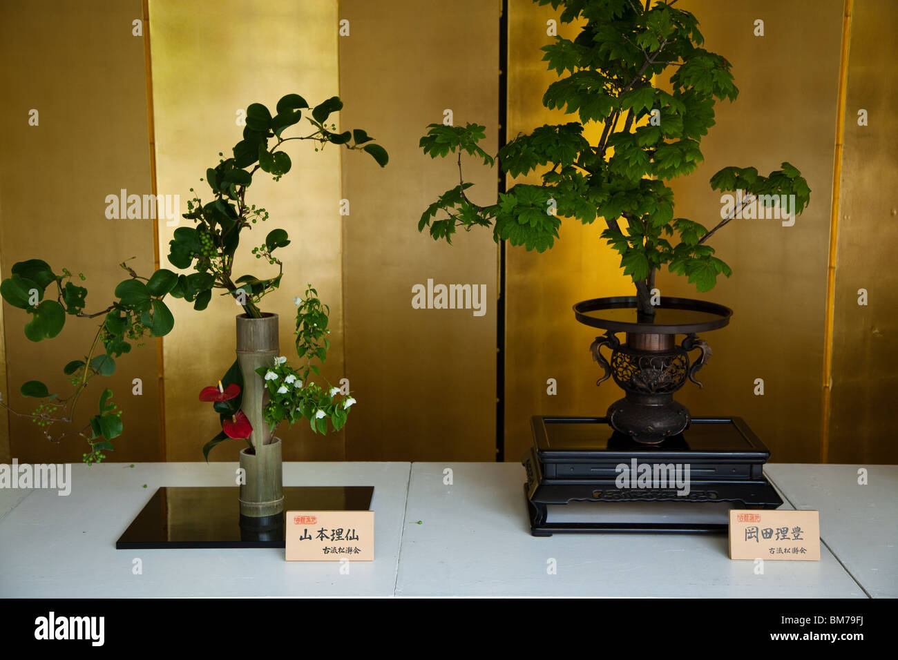 Japanese bonsai arrangement hi-res stock photography and images - Alamy