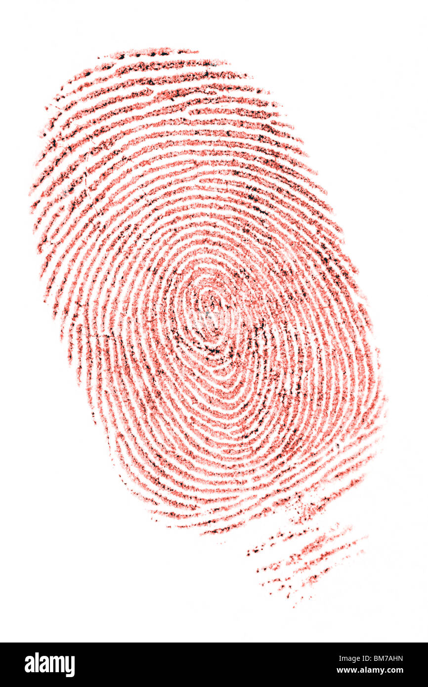 closeup of a fingerprint in red ink on white Stock Photo