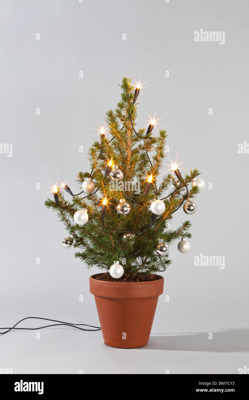 A small Christmas tree decorated with lights and baubles Stock Photo