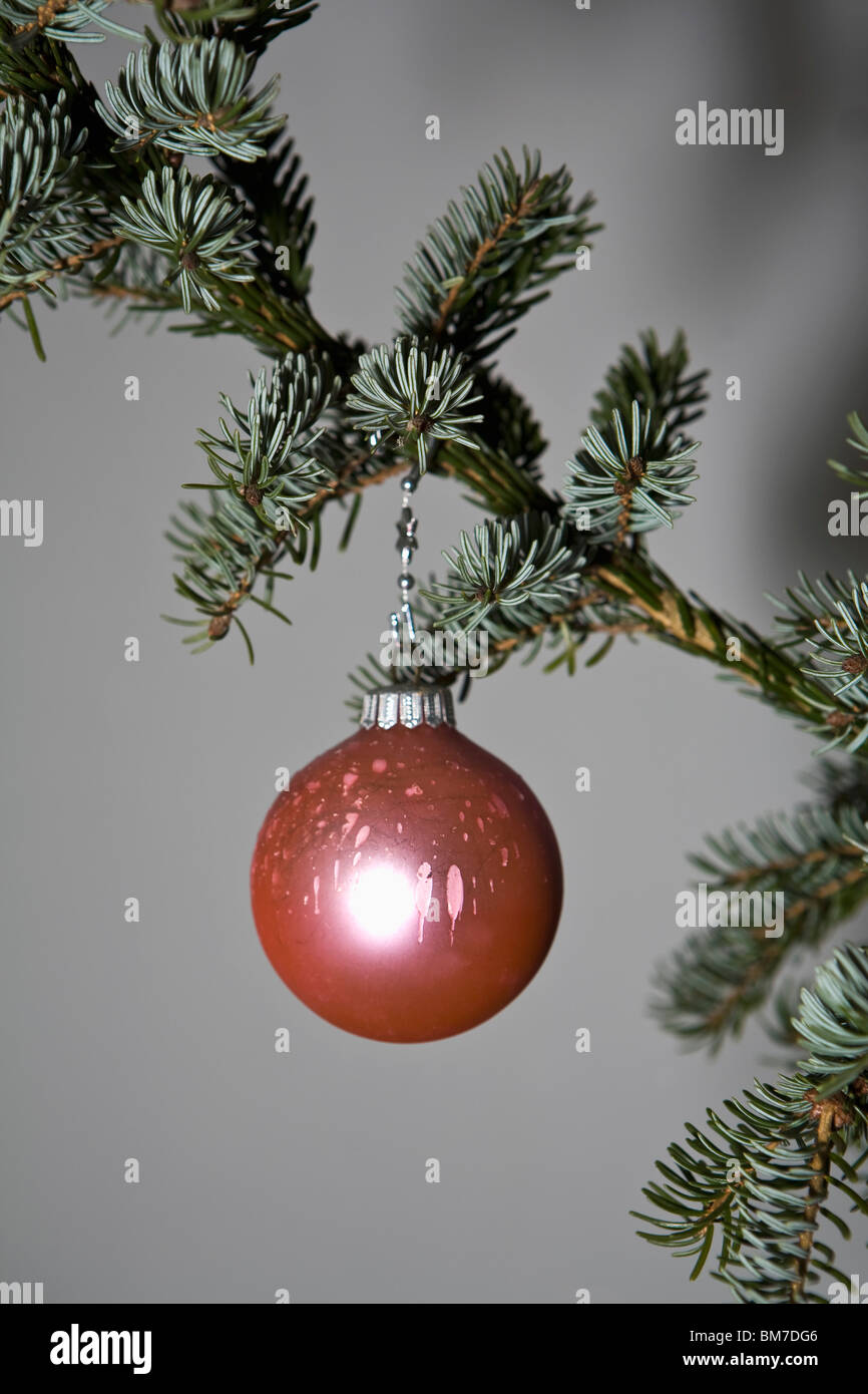 A Christmas ball ornament hanging from a tree branch Stock Photo - Alamy