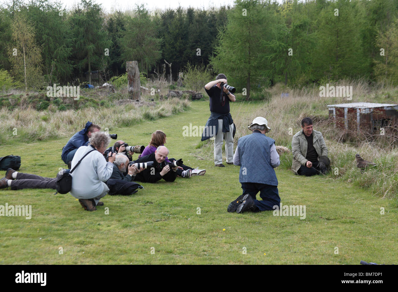 Brian Bevan photographic workshop on Hawks and owls Bedfordshire Stock Photo