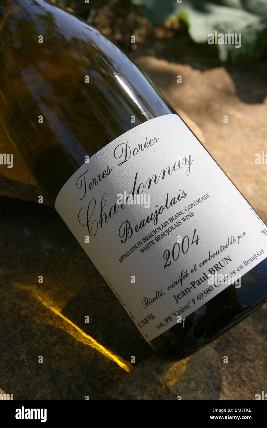 Bottle of Chardonnay wine Stock Photo Alamy