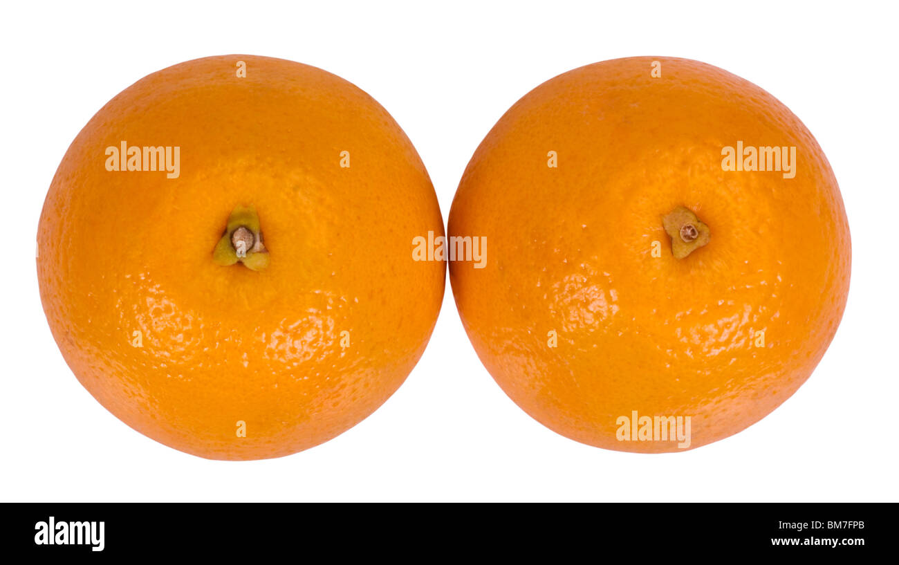 Orange fruit close up oranges Cut Out Stock Images & Pictures - Alamy
