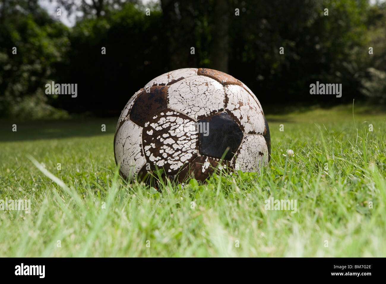 A soccer ball on grass Stock Photo Alamy
