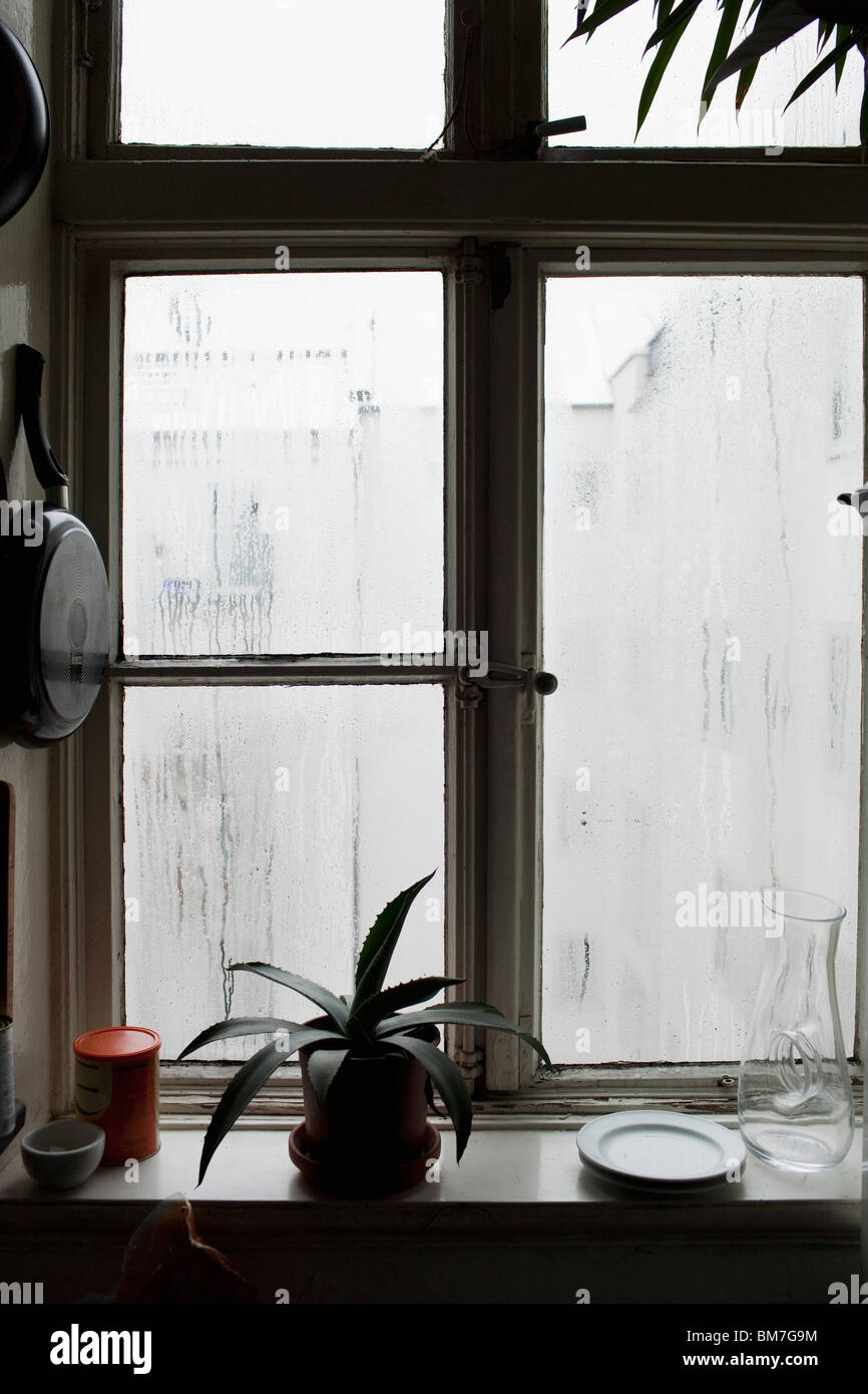 A kitchen window Stock Photo - Alamy