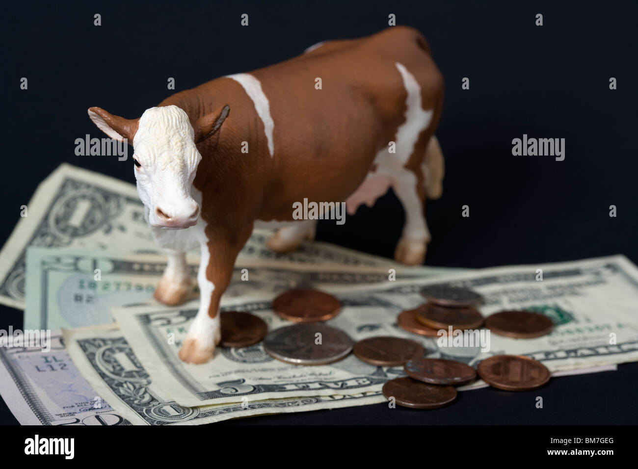 Cash cow hires stock photography and images Alamy