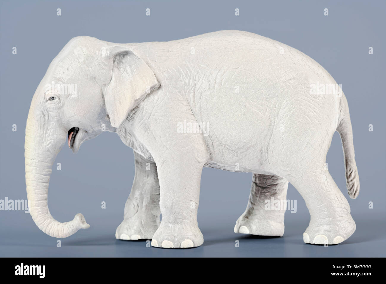 A white elephant Stock Photo Alamy
