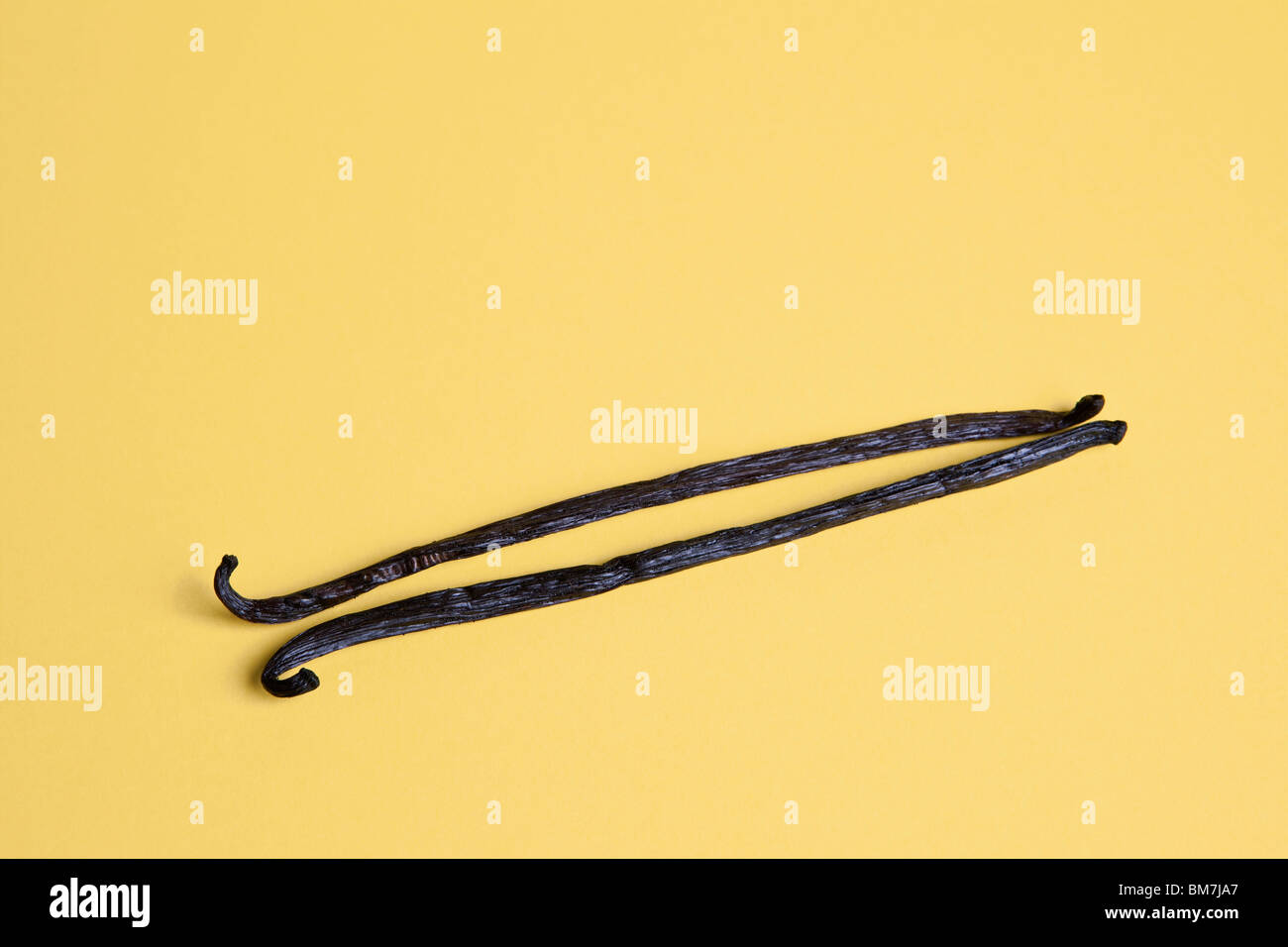 Two vanilla beans Stock Photo Alamy