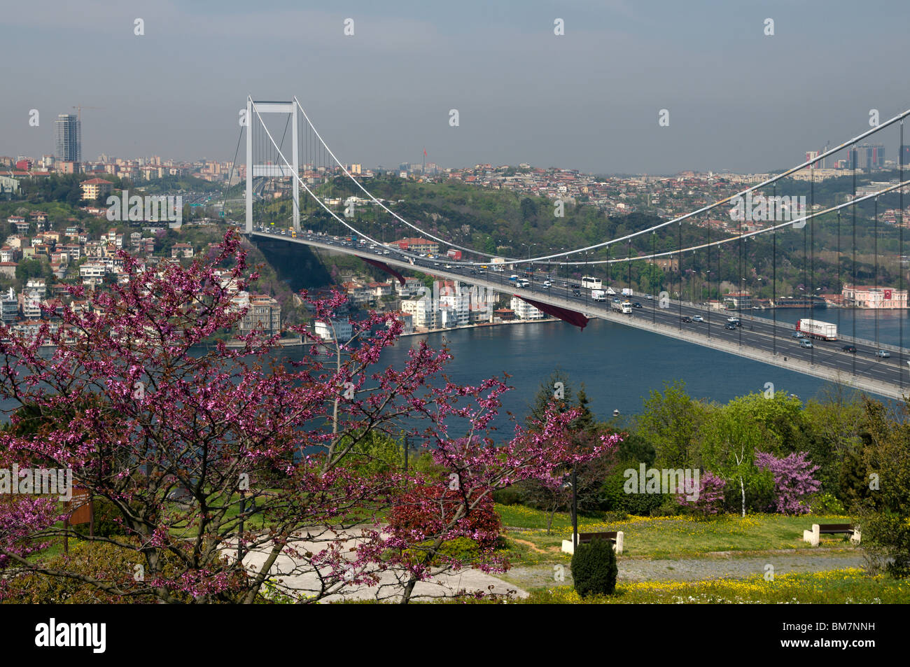 Fatih Sultan Mehmet Bridge(FSM),Bosphorus,Judas-tree,istanbul,Turkey Stock Photo