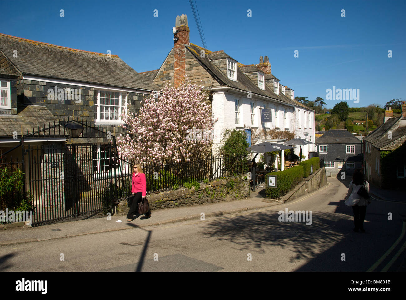 Padstow Cornwall UK Street Hotel Guest House Magnolia Tree Stock Photo