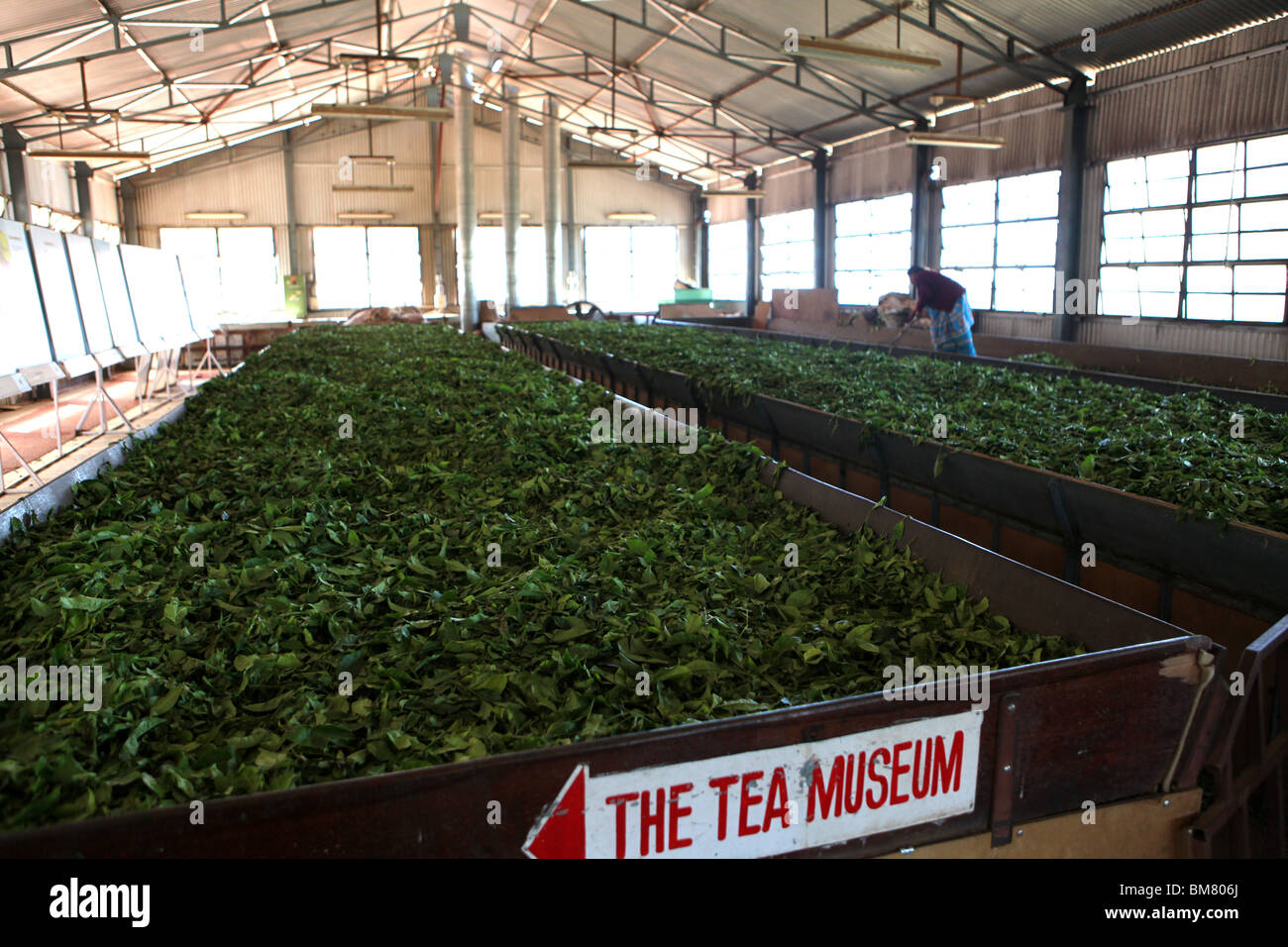 The Tea Factory, a working tea museum, located above Ooty, short for