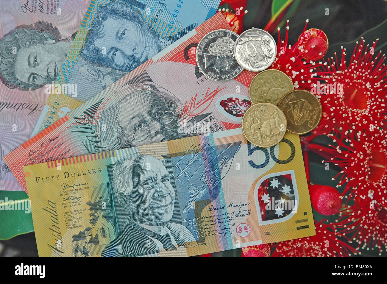 Australian currency, displayed lying on printed photo of Australian flower. Stock Photo