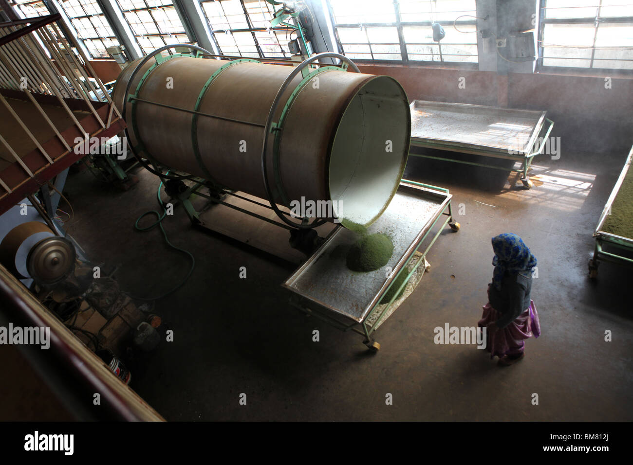 Tea factory hires stock photography and images Alamy