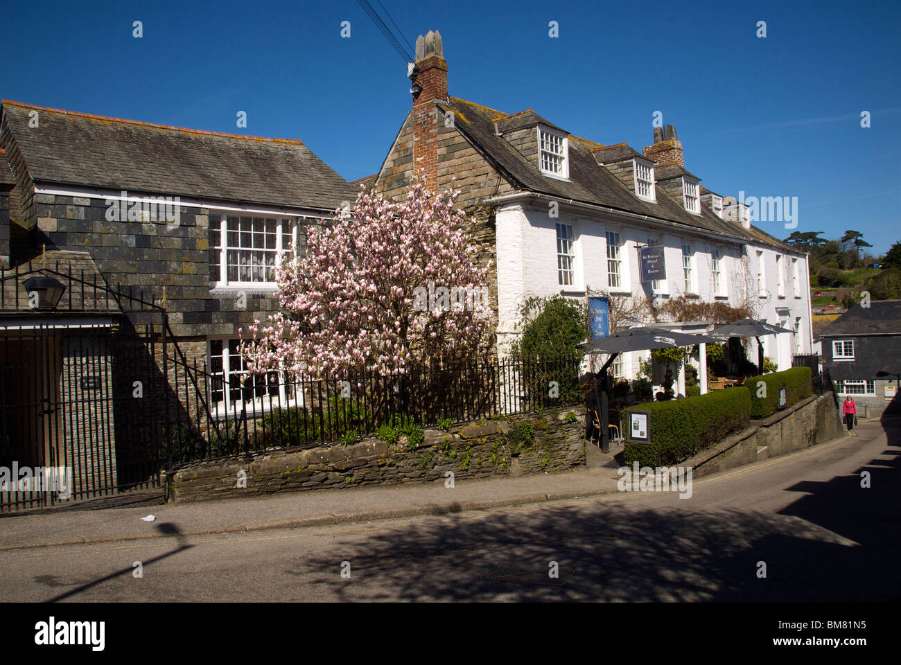 Padstow Cornwall UK Street House Magnolia Tree Hotel Bed Breakfast