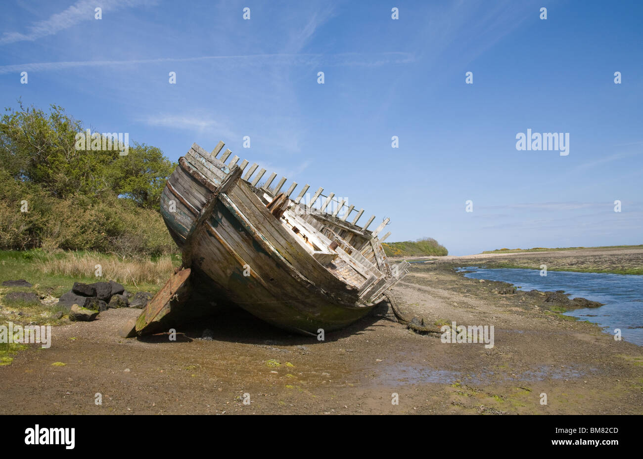 Anglesey North Wales UK Ship wreck on Traeth Dulas skeleton of old fishing boat no longer in use Stock Photo