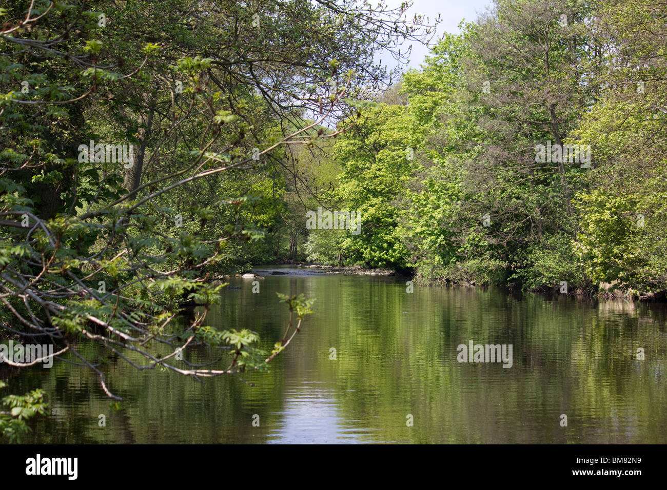 River Nidd Summerbridge Yorkshire Stock Photo Alamy
