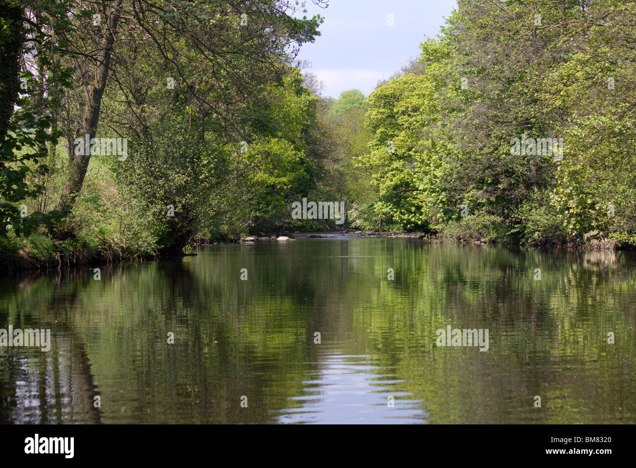River Nidd Summerbridge Yorkshire Stock Photo Alamy