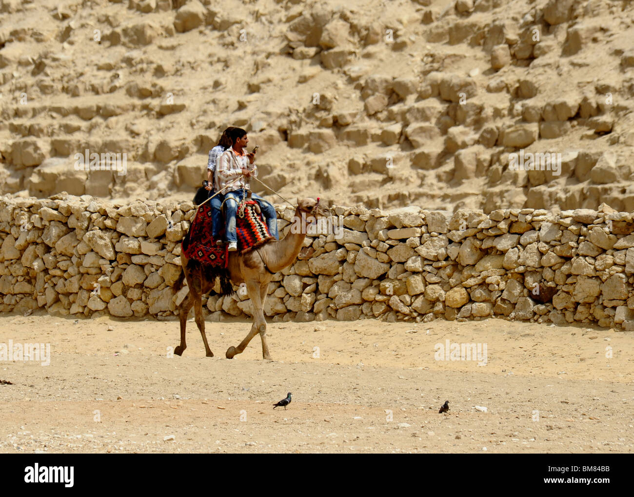 camel rider, Pyramids of giza, Giza Necropolis bordering what is now El ...