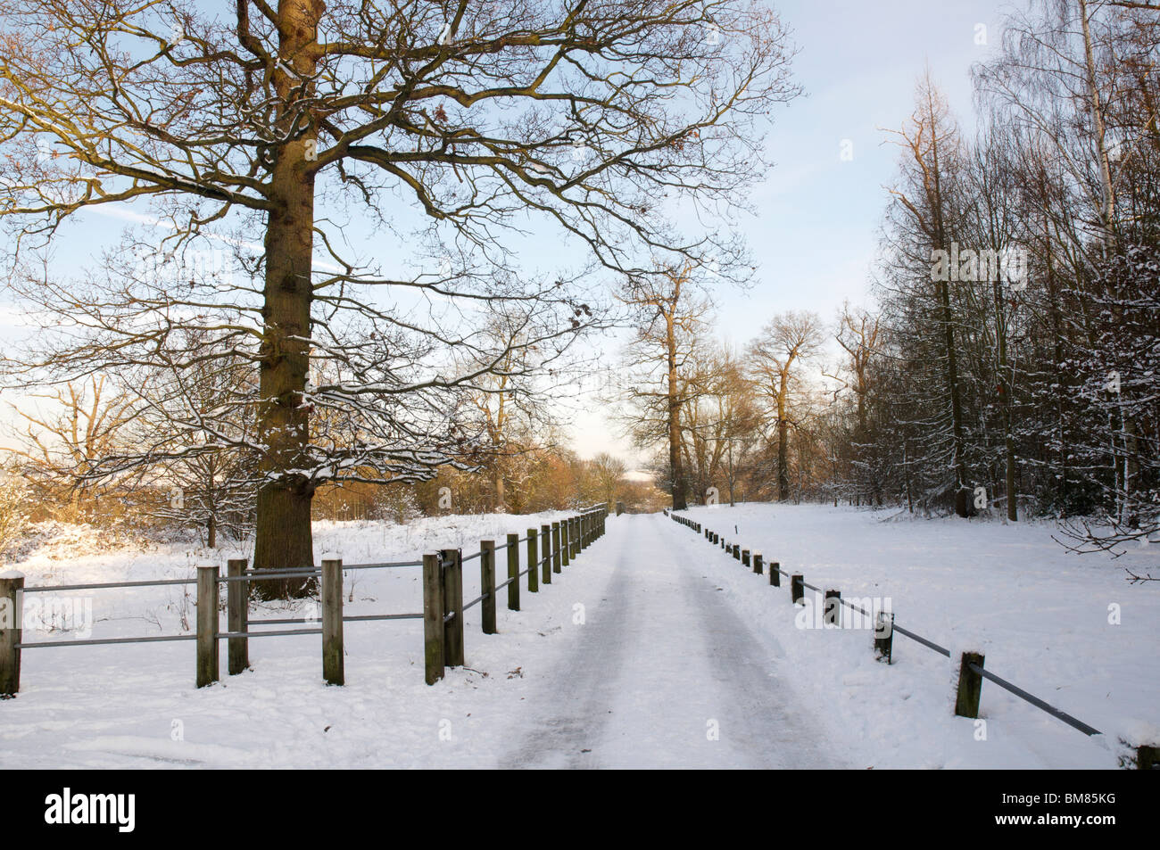 A footpath covered in snow with a fence Stock Photo - Alamy