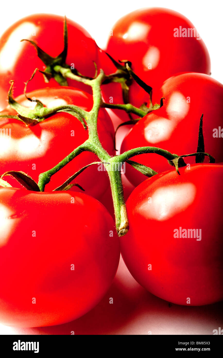 Tomatoes on the vine product shot. Stock Photo