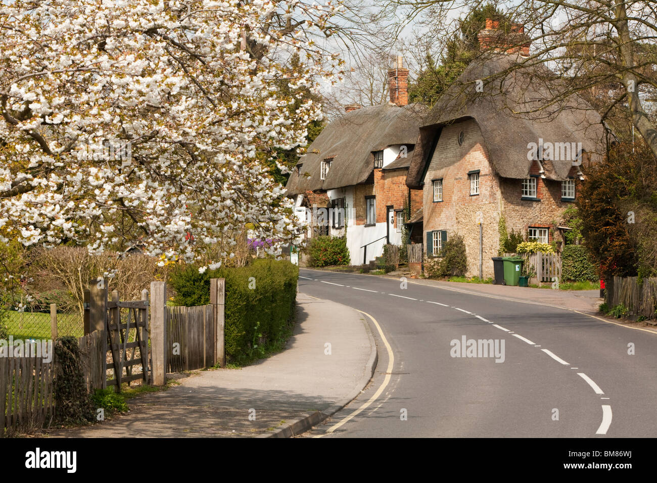 Spring blossom and traditional thatched cottages in the Thameside village of Clifton Hampden in Oxfordshire, Uk Stock Photo