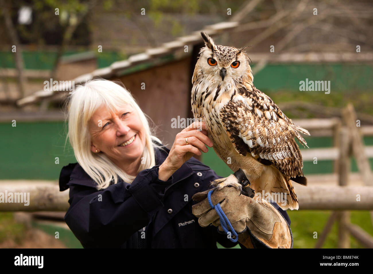 UK, England, Cornwall, North Petherwin, Tamar Otter and Wildlife Centre, visitor holding Eurasian Eagle Owl Stock Photo
