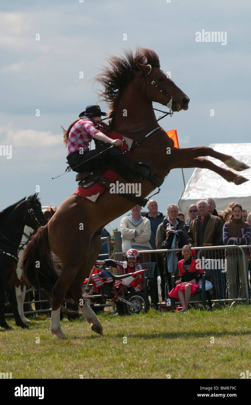 'Stallions of substance' stunt rider performing at the South Suffolk Show Stock Photo