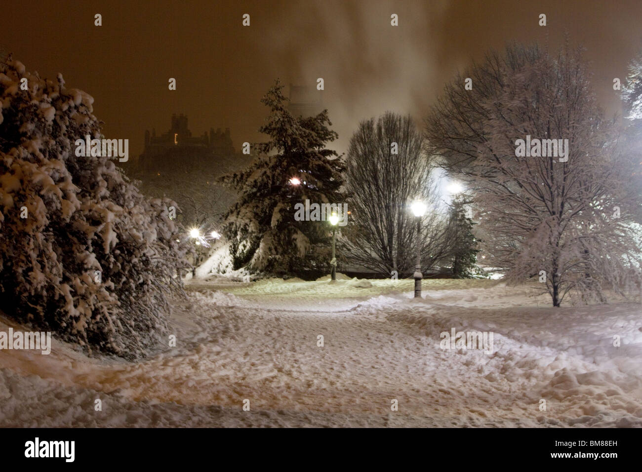 Central Park at night after a snow storm Stock Photo Alamy