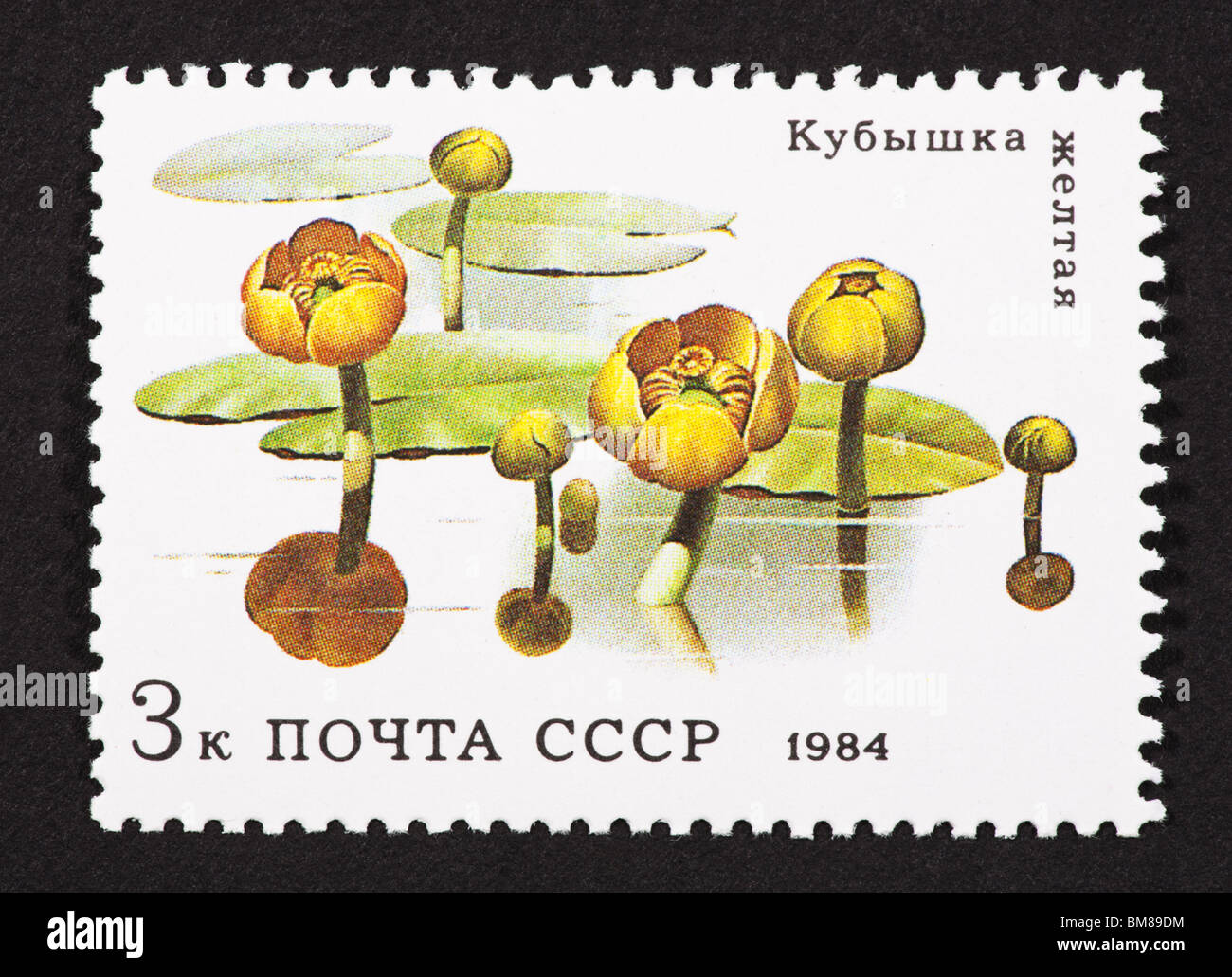Postage stamp from the Soviet Union depicting water lilies Stock Photo ...