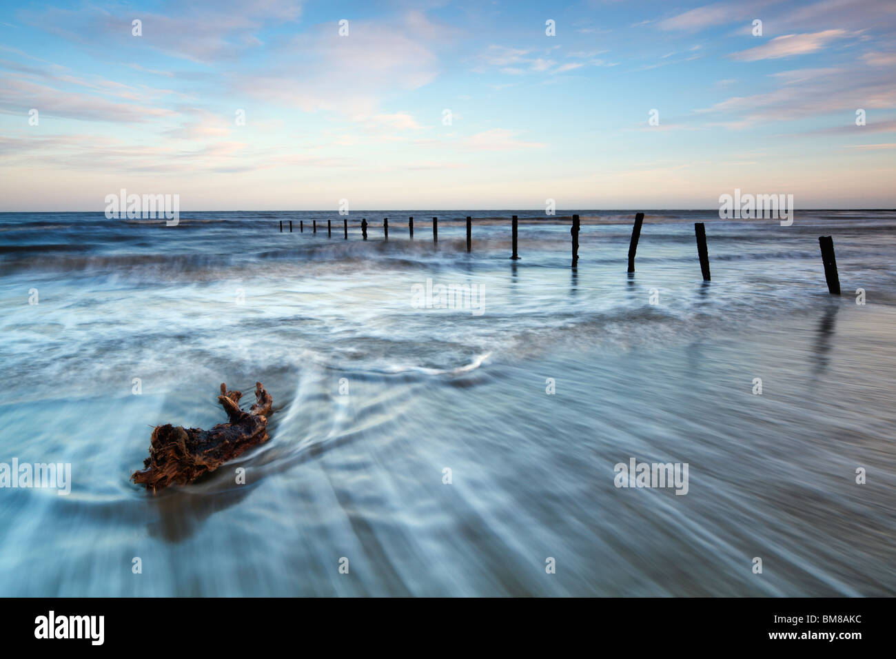 a piece of driftwood being caught up by the retreating tide, taken at the warren, folkestone, kent. Stock Photo