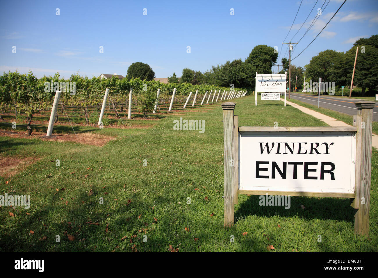 Pindar Vineyard, Winery, North Fork, Long Island, New York, USA Stock Photo