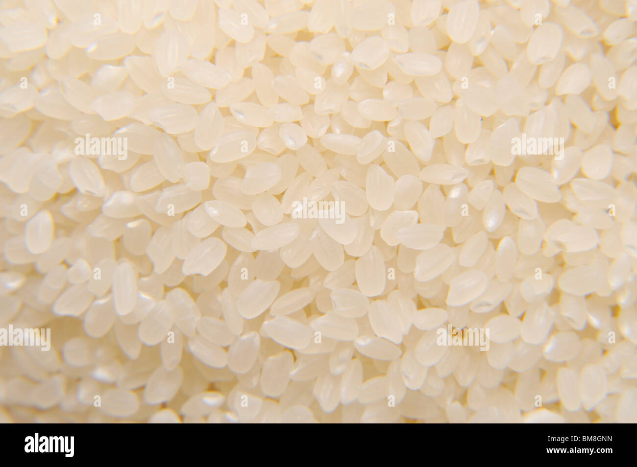 Stack of raw rice, close up, full frame Stock Photo - Alamy