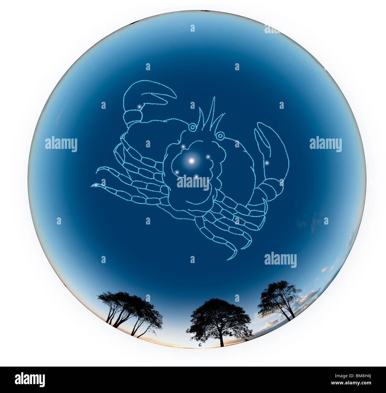 Star Sign, Cancer Stock Photo Alamy