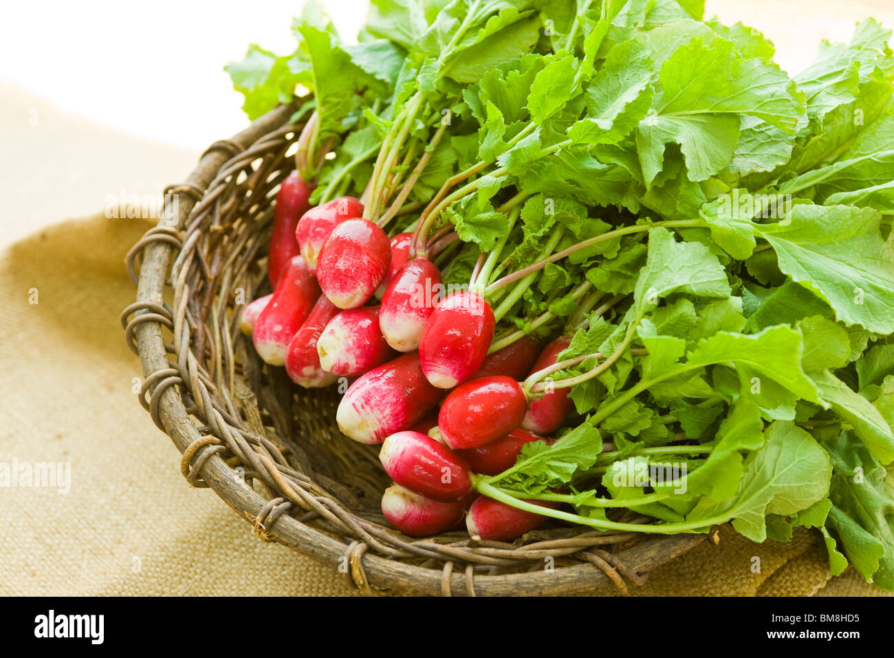 Radish in a basket Stock Photo Alamy