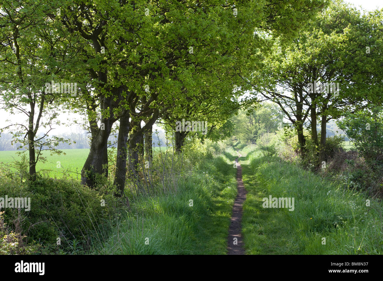 Ryhill hires stock photography and images Alamy