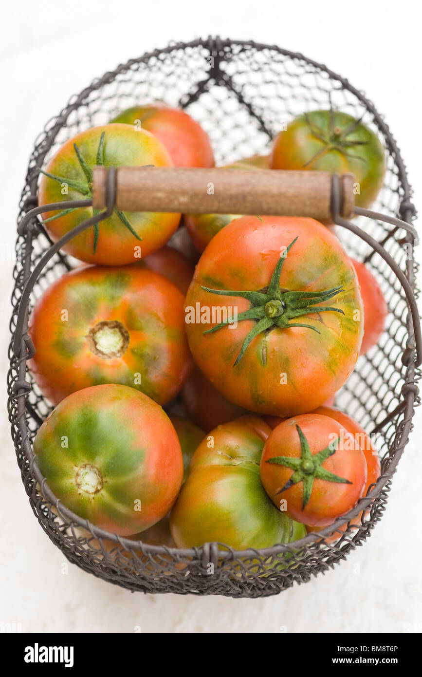 Tomatoes in basket Stock Photo Alamy