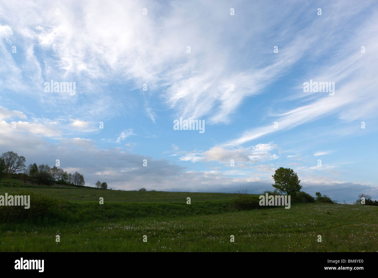 Blue sky cloudy day trees hi-res stock photography and images - Alamy